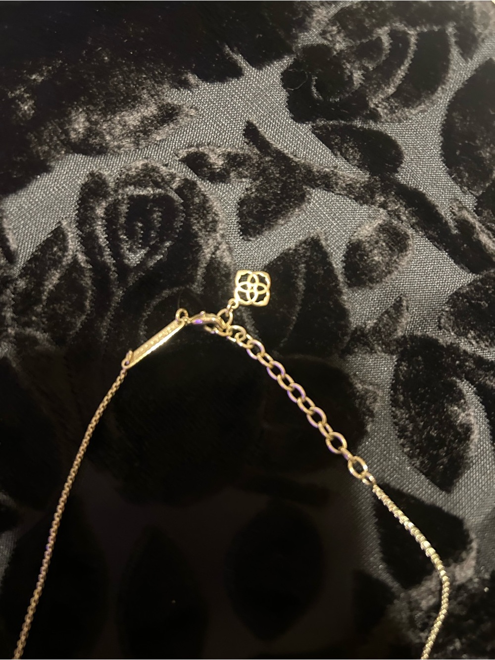 Kendra Scott silver Necklace with Brown Tooth Pendant - Picture 2 of 3